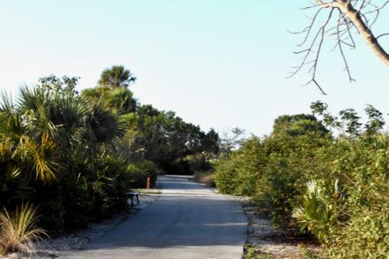 plantation preserve scene